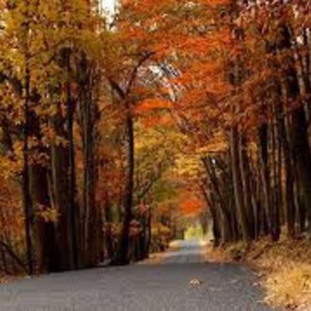 Small Town Hideaway Wyalusing 外观 照片