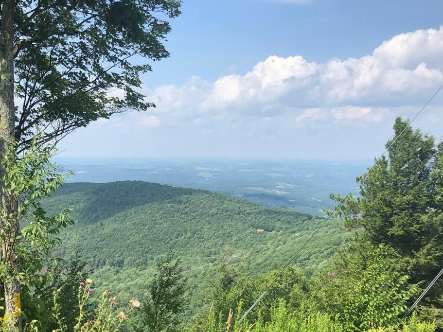 Small Town Hideaway Wyalusing 外观 照片